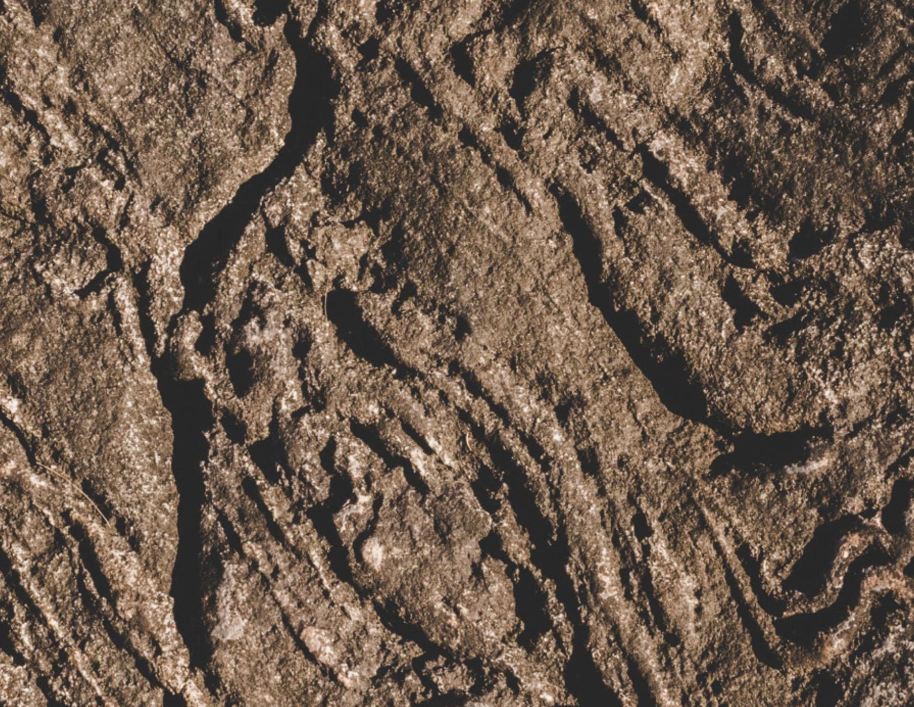 prospekt-2024-bilder-9