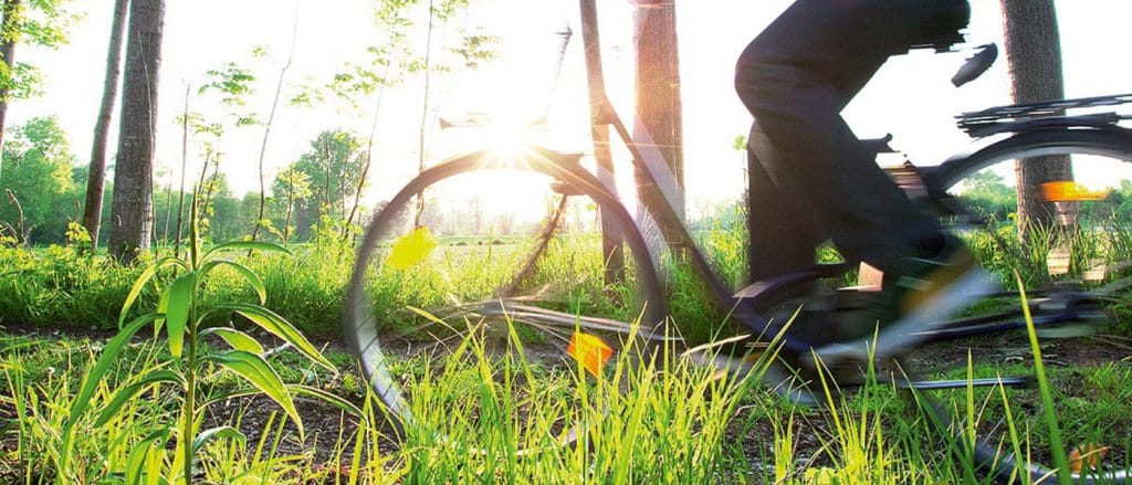 Radtour_Innauen_Moritz_Attenberger_gruene_ente_1400x600_08